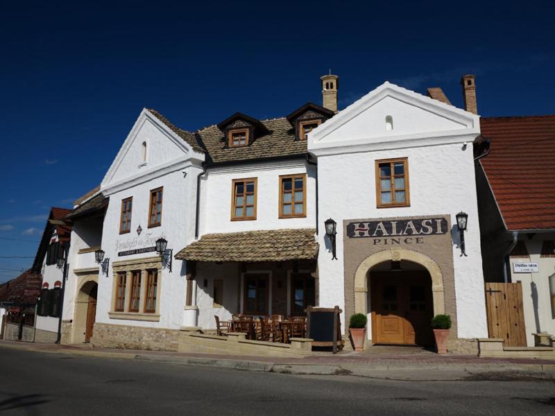 Halasi Pince Panzió Villány Esterno foto